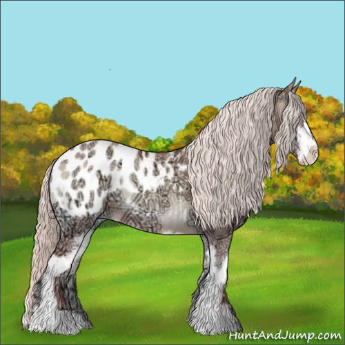 Horse Color:Silver Classic Champagne Ice Onyx Sabino Appaloosa 