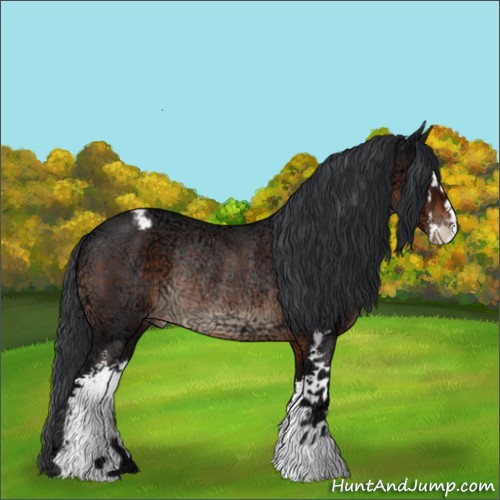 Horse Color:Brown Ice Sabino Appaloosa Rabicano 