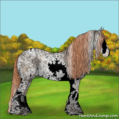 Horse Color:White Spotted Classic Champagne Ice Pearl Dun Splash Appaloosa 