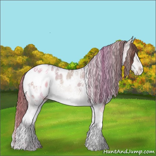 Horse Color:White Spotted Classic Champagne Dun Splash Appaloosa 