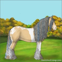 Horse Color:Painted Amber Cream Champagne Sabino Tobiano Varnish 