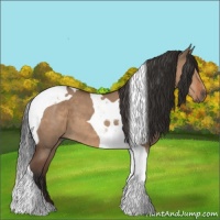 Horse Color:Bay Dun Tobiano 