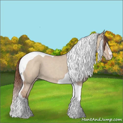 Horse Color:Amber Champagne Dun Sabino Tobiano Appaloosa 