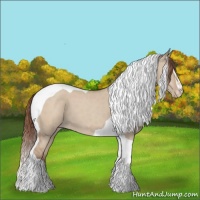 Horse Color:Amber Champagne Dun Sabino Tobiano Varnish 