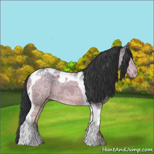 Horse Color:Black Ice Tobiano 