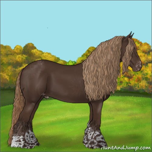 Horse Color:Liver Chestnut Sabino Tobiano Appaloosa 