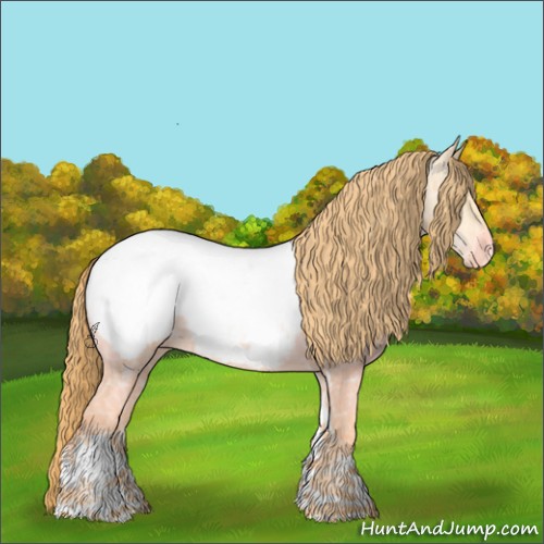 Horse Color:Buckskin Ice Pearl Tobiano Appaloosa Rabicano 