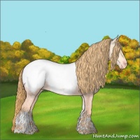 Horse Color:Buckskin Ice Pearl Tobiano Appaloosa Rabicano 