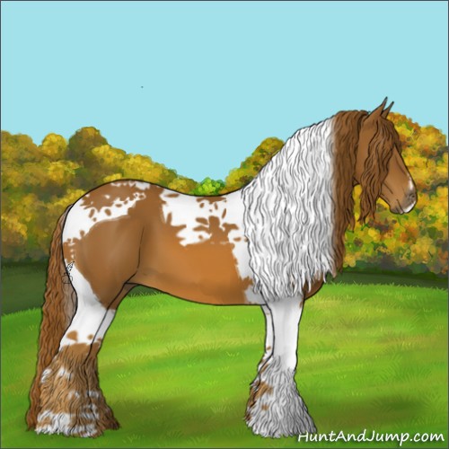 Horse Color:Chestnut Tobiano 