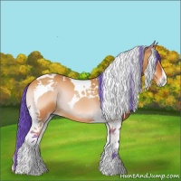Horse Color:Watercolor Bay Onyx Tobiano