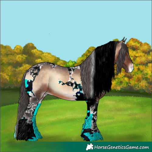 Horse Color:Brown Onyx Tobiano Appaloosa 