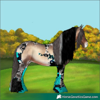 Horse Color:Brown Onyx Tobiano Appaloosa 