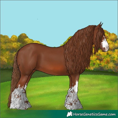 Horse Color:White Spotted Chestnut 