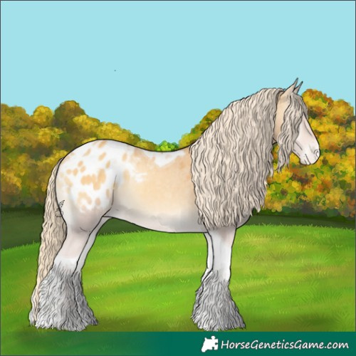 Horse Color:Gold Cream Champagne Onyx Tobiano Appaloosa 