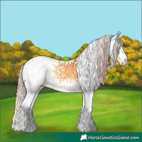 Horse Color:Palomino Onyx Sabino 