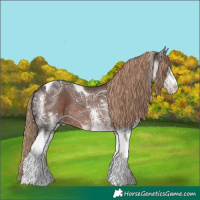 Horse Color:White Spotted Liver Chestnut Ice Tobiano