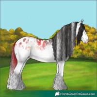 Horse Color:White Spotted Liver Red Onyx Ice Appaloosa 