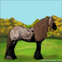 Horse Color:Void Chestnut Ice Sabino Appaloosa 
