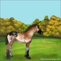 Horse Color:Void Bay Onyx Sabino Appaloosa 