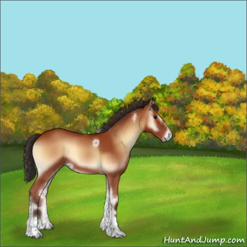 Horse Color:Bay Onyx Sabino Tobiano 
