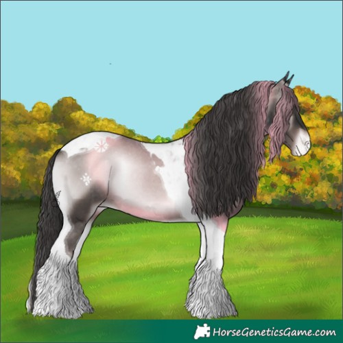 Horse Color:Platinum Liver Red Onyx Tobiano Appaloosa Rabicano 