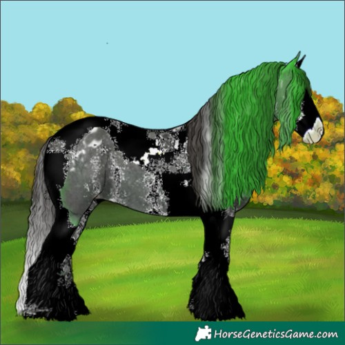 Horse Color:Liver Chestnut Sabino Splash Tobiano Blanket 
