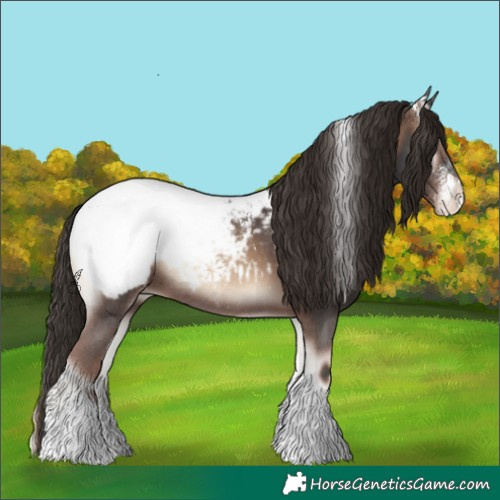 Horse Color:Liver Red Onyx Sabino Tobiano Snowcap 