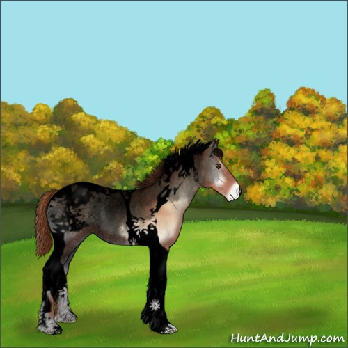 Horse Color:Void Gold Champagne Onyx Tobiano Blanket Rabicano 