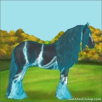 Horse Color:Thunderstruck White Spotted Black