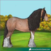 Horse Color:Sable Champagne Tobiano 