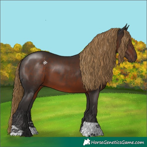 Horse Color:Liver Chestnut 
