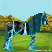 Horse Color:Void Thunderstruck White Spotted Grullo