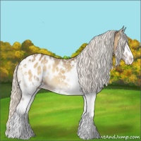 Horse Color:White Spotted Silver Smoky Blue Onyx Appaloosa 