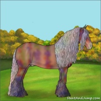Horse Color:Void Nacre Silver Bay Appaloosa