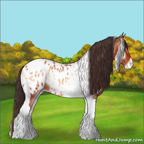 Horse Color:Bay Onyx Mushroom Tobiano Appaloosa 