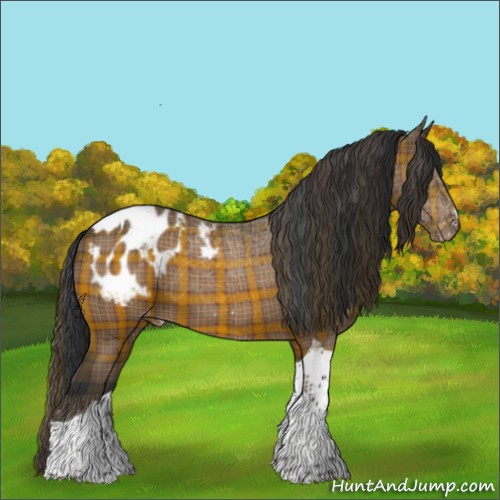 Horse Color:Plaid  Bay Tobiano Appaloosa 
