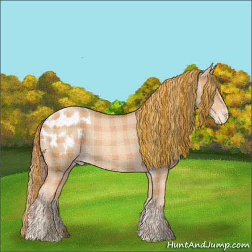 Horse Color:Plaid  Gold Champagne Appaloosa 