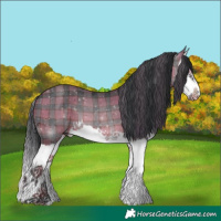 Horse Color:Plaid  Brown Splash 