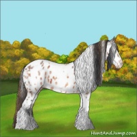 Horse Color:Plaid Bay Ice Tobiano Near Leopard