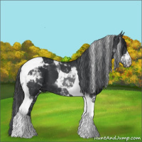 Horse Color:Black Tobiano 