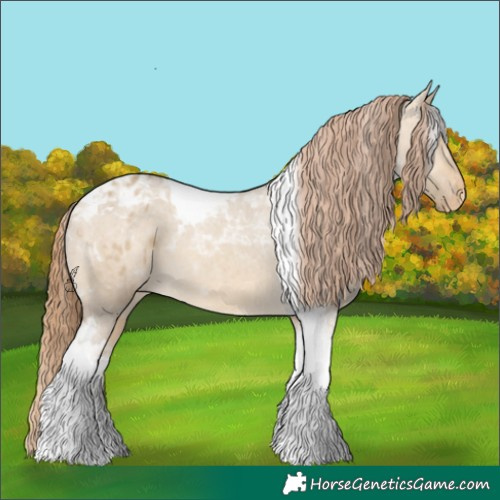 Horse Color:Sable Cream Champagne Dun Tobiano Varnish 