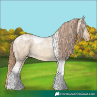 Horse Color:Sable Cream Champagne Dun Tobiano Varnish 