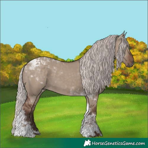 Horse Color:Silver Grullo Tobiano