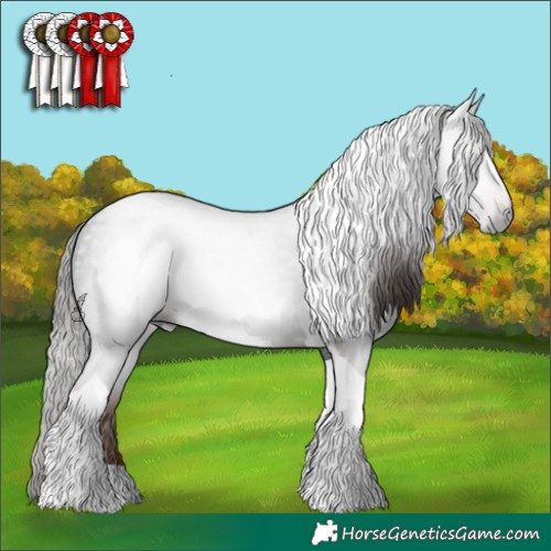 Horse Color:Gray Liver Chestnut Tobiano 