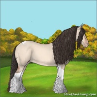 Horse Color:Sable Champagne Dun Tobiano 