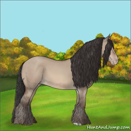 Horse Color:Sable Champagne Dun 