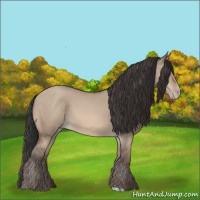 Horse Color:Sable Champagne Dun 