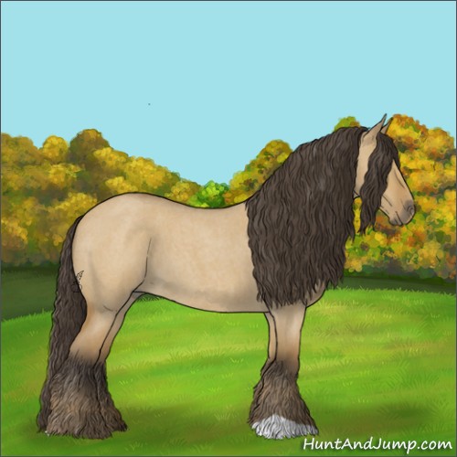 Horse Color:Buckskin Roan Dun
