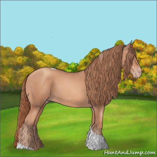Horse Color:Gold Champagne Tobiano