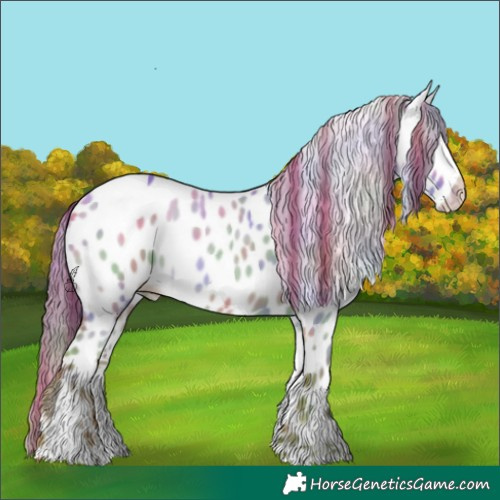 Horse Color:Nacre Gold Champagne Dun Sabino Appaloosa Rabicano 
